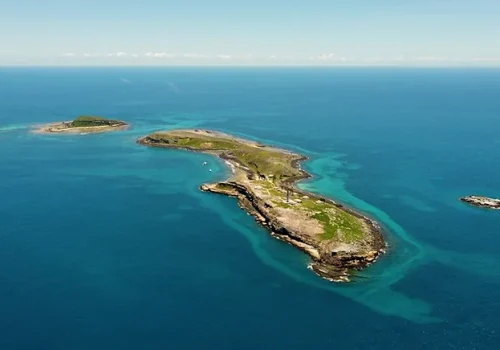 954288_fee28d4ff4e0483cb18520a42d299ba4~mv2