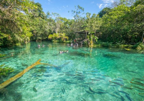 nascente-azul-flutuacao-2-910x607